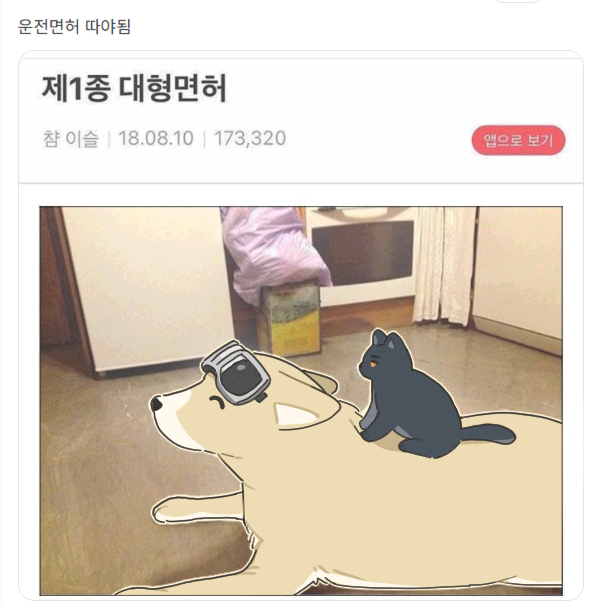 ㅂㅇㄷ ㅎ12.jpg